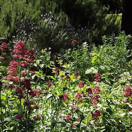 ミドルタウン Backyard Garden Oasis Bed & Breakfast エクステリア 写真