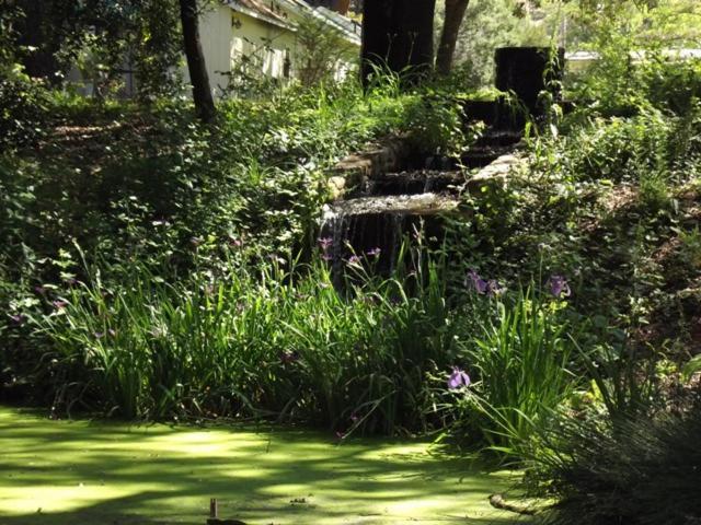 ミドルタウン Backyard Garden Oasis Bed & Breakfast エクステリア 写真