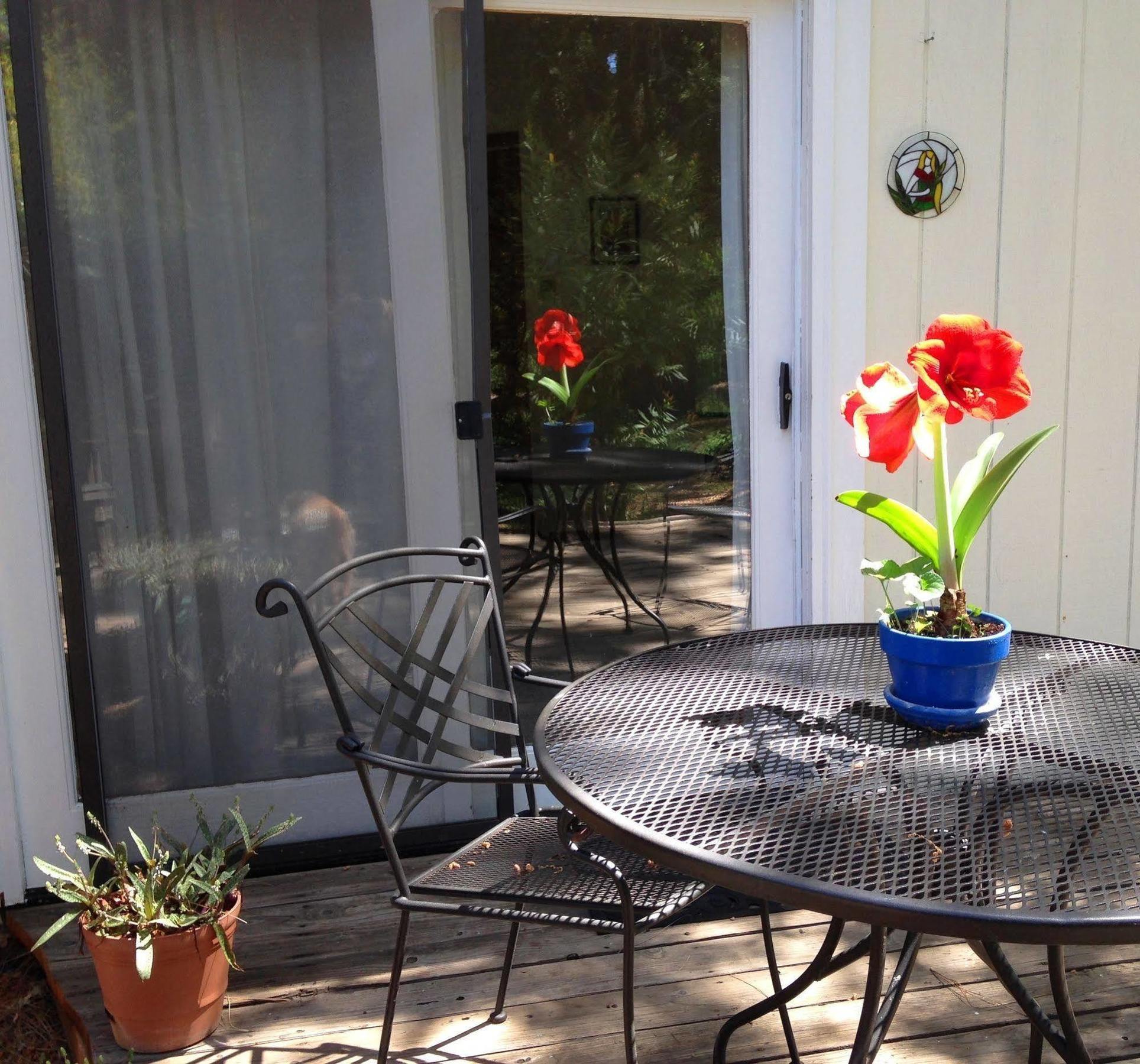 ミドルタウン Backyard Garden Oasis Bed & Breakfast エクステリア 写真